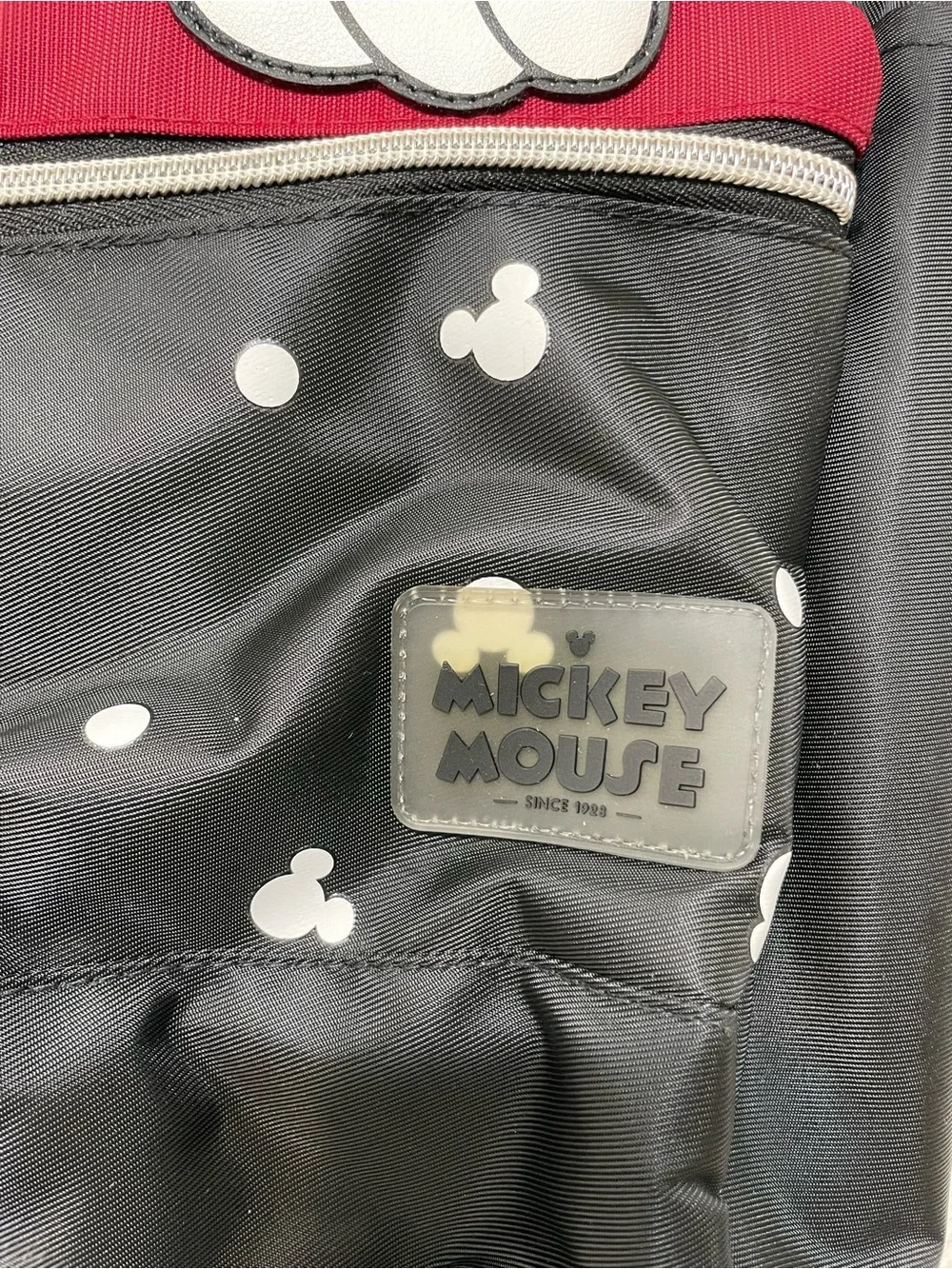 Disney playful mickey